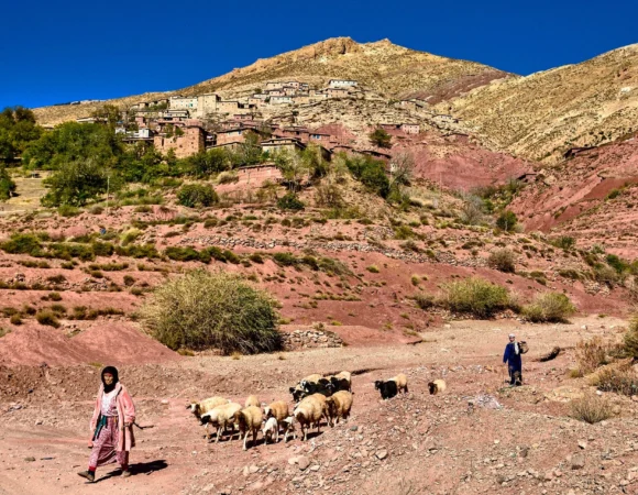 Experiencing Morocco’s Cultural Heartland: A Guide to Authentic High Atlas Tours