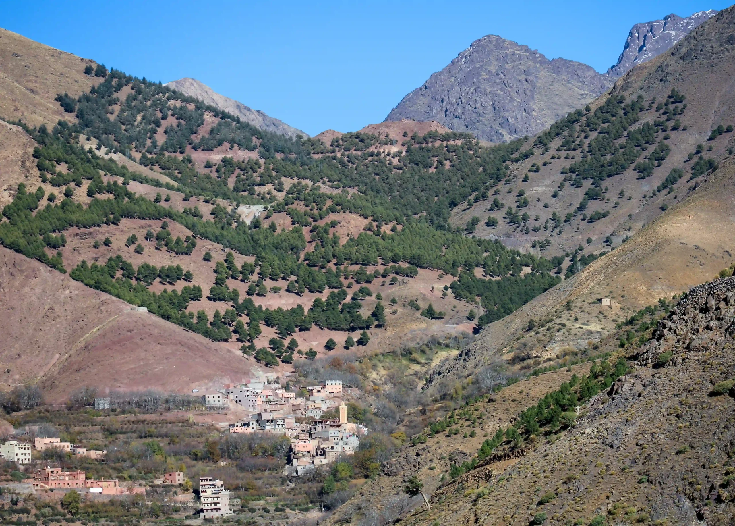 Authentic Imlil Valley Day Trip & Berber Village Hike