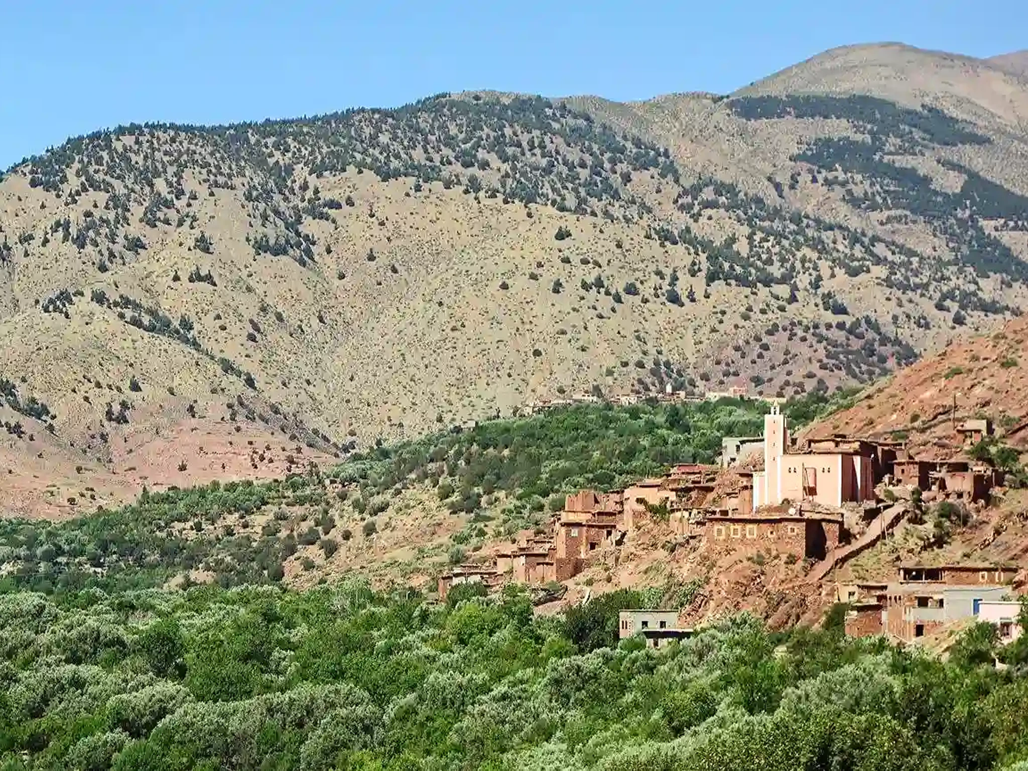 Ijoukak Valley Day Tour (Tin Mal Mosque & Village of Potters)