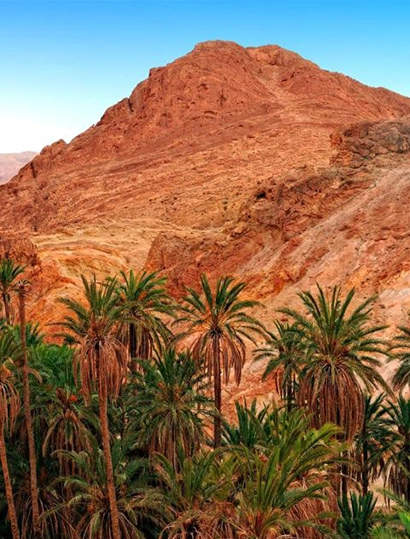 Tunisia