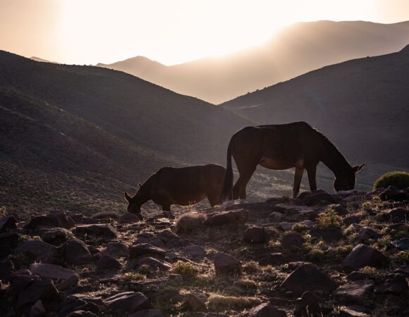 Majestic Journeys Through Morocco’s Mountain Landscapes