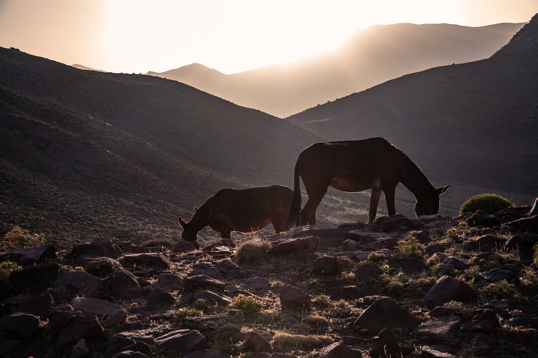 Majestic Journeys Through Morocco's Mountain Landscapes