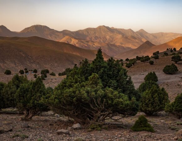 Creating Transformative Experiences: Cultural Tourism Destination Strategies