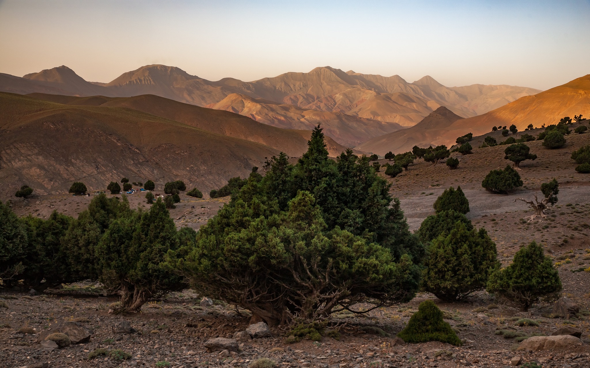 Creating Transformative Experiences: Cultural Tourism Destination Strategies